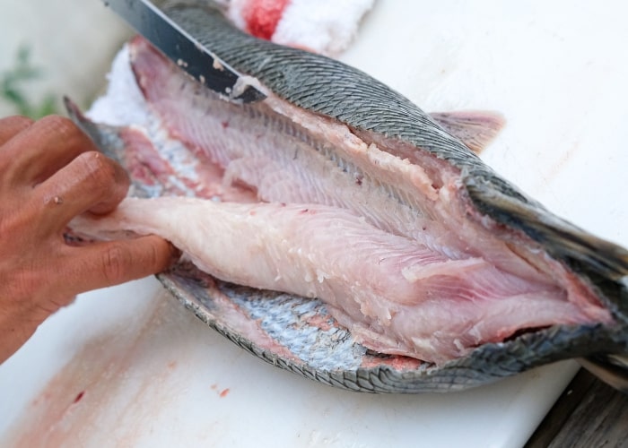 Remove the fillets from the spine and ribs of the Gar fish