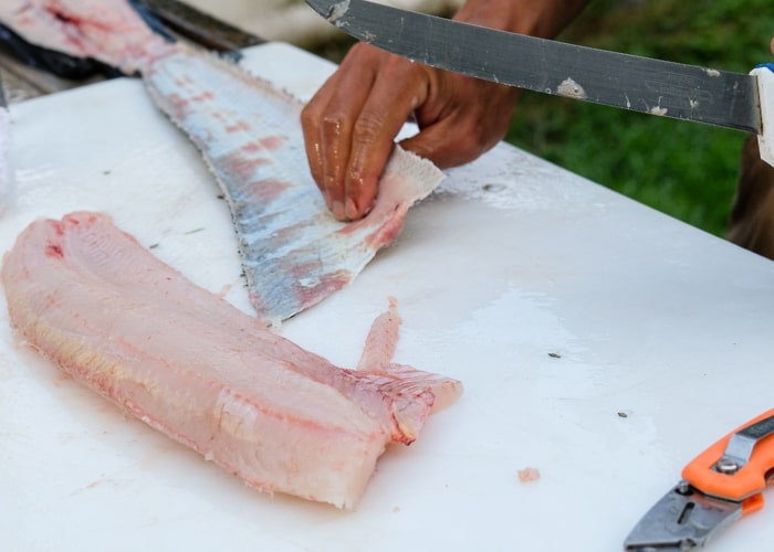 Skinning the fillet