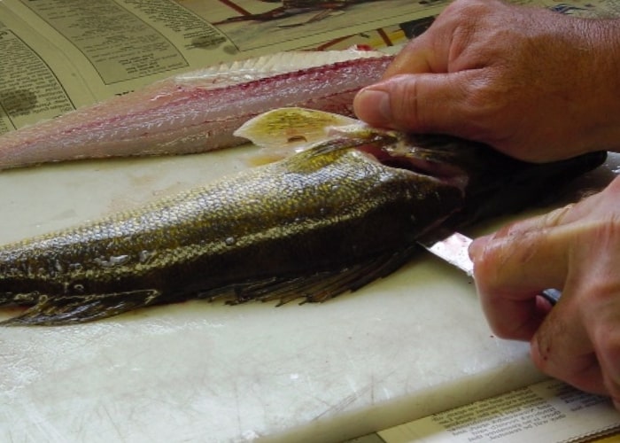 rotate the cutting knife along the backbone to the tail and out